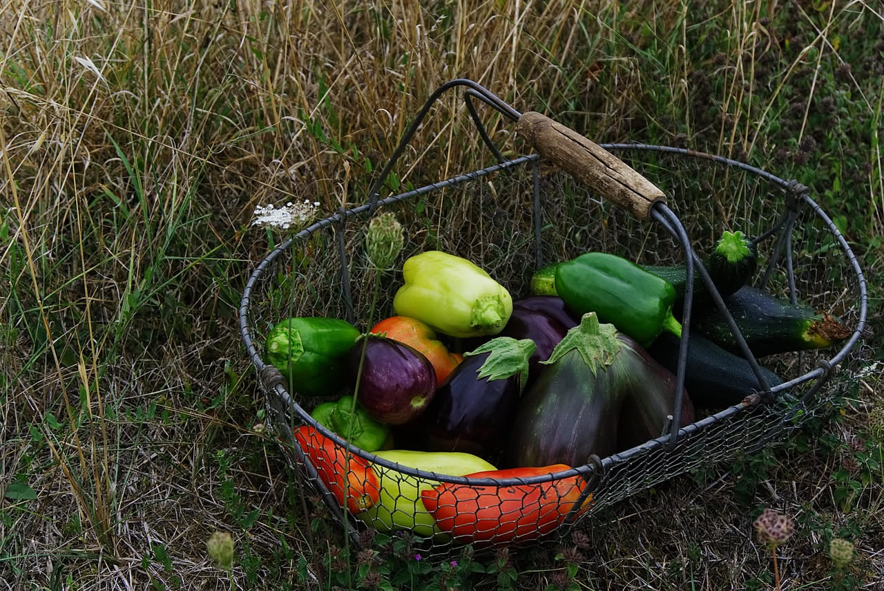 Caponata di melanzane: come bilanciare agro e dolce