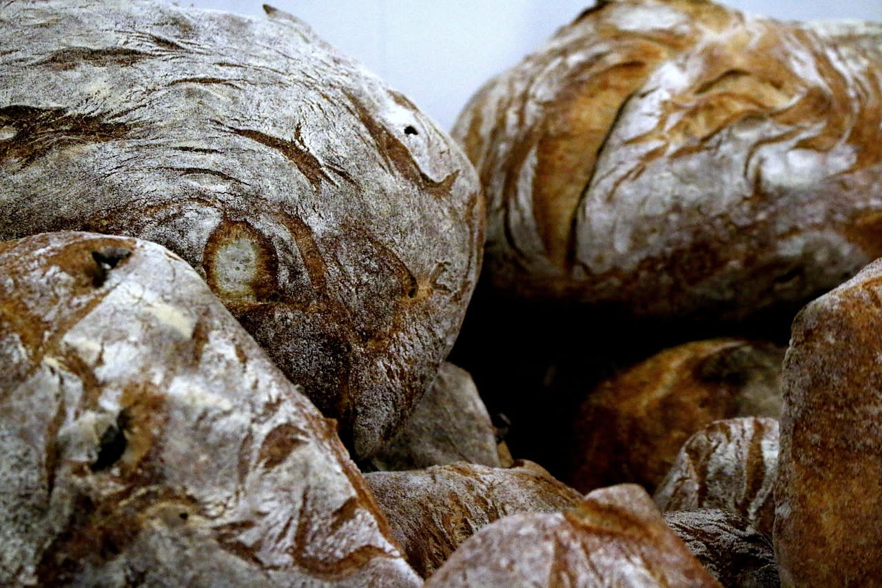 Pane di Altamura: la semola rimacinata e i tempi lunghi del lievito