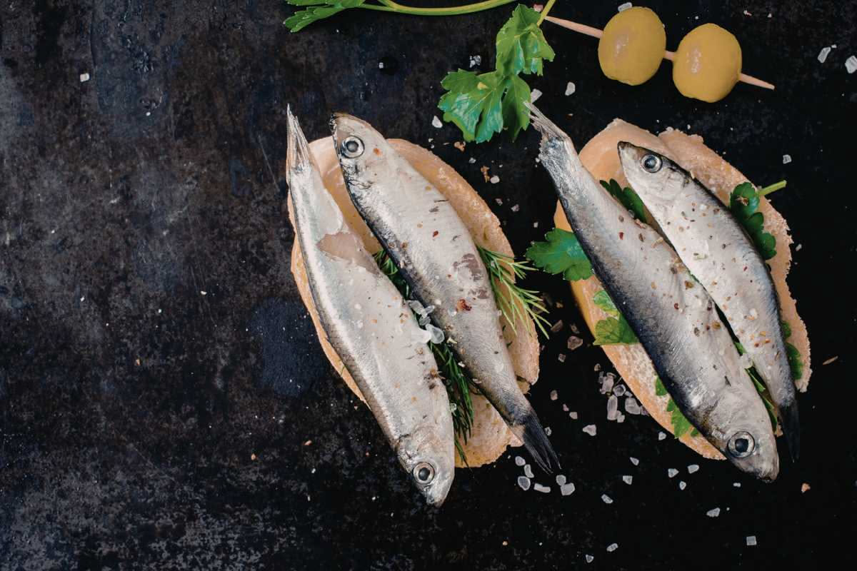 Crostini dorati su piatto bianco con alici filettate, gocce di olio d'oliva e prezzemolo fresco, sfondo di lino grigio
