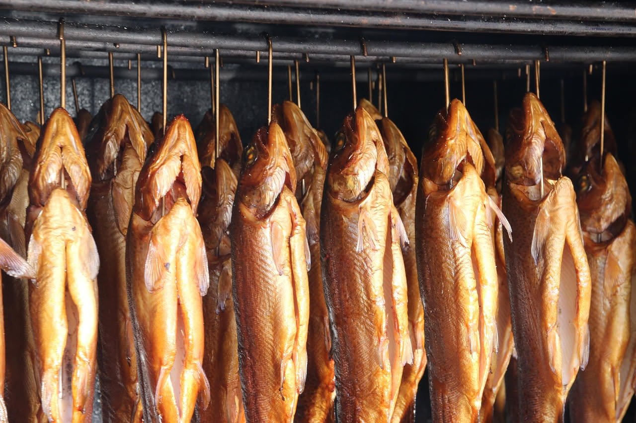 Fiano affumicato: come preparare il pesce a casa con il metodo a freddo