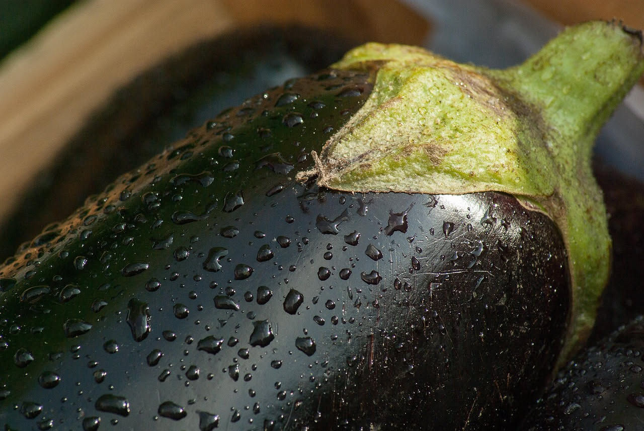 Melanzane viola tagliate a fette, dorate in padella, immerse in una marinata di aceto, aglio e menta fresca in un barattolo di vetro