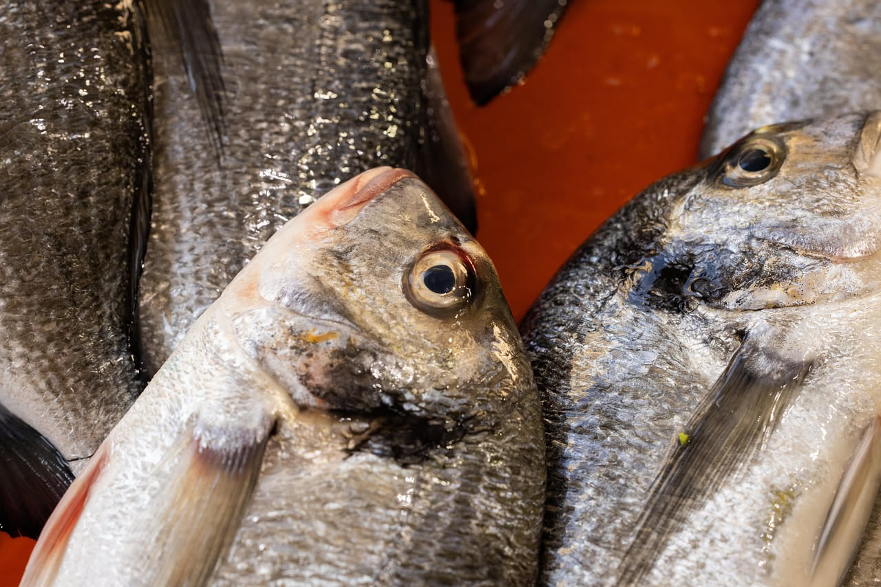 Orata intera cotta e marinata in carpione su un piatto bianco, con fette di cipolla, aceto e rosmarino visibili, con sfondo chiaro