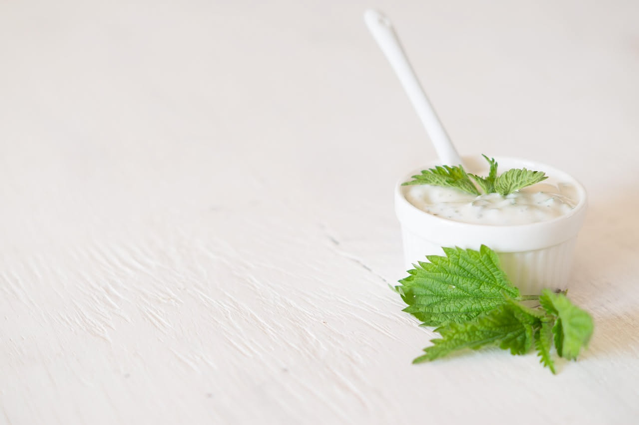 Fascio di ortiche fresche con foglie verde intenso coperte di piccoli peli urticanti, su fondo di legno rustico con gocce di acqua
