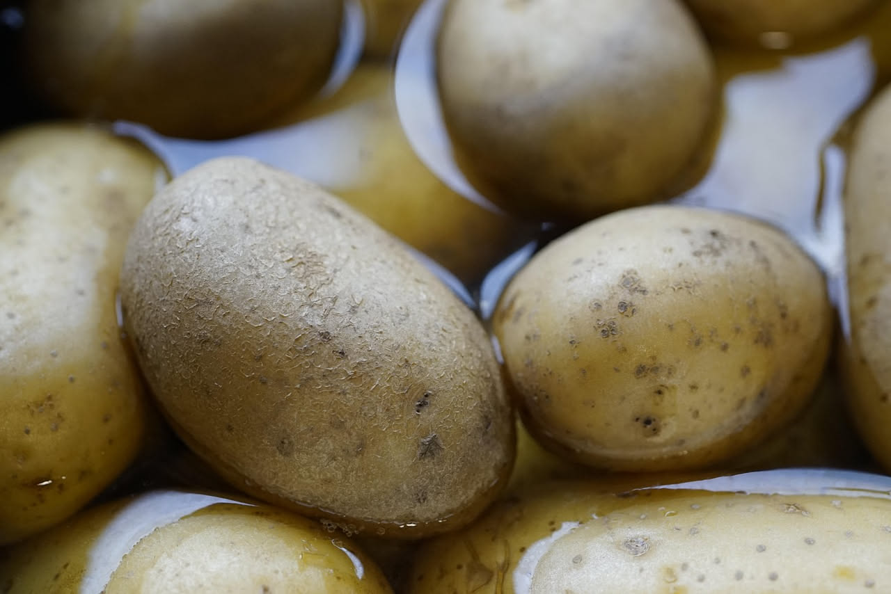 Patate bianche appena bollite in una pentola di acciaio con acqua salata fumante, una patata rotta a metà mostra la polpa cremosa interna