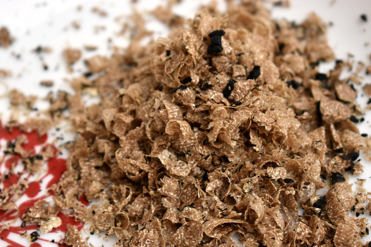 Tartufo nero intero e una piccola grattugia cilindrica con scaglie di tartufo nero appena grattugiate su un piatto bianco, tavolo in legno scuro