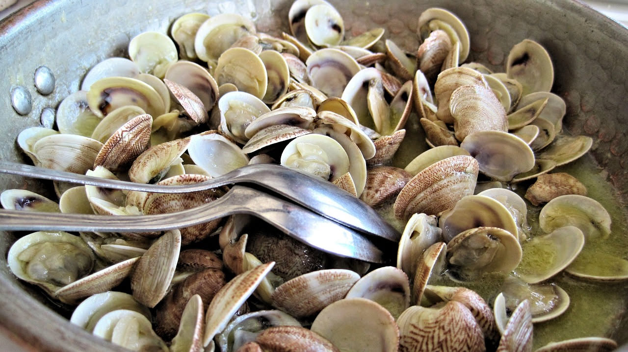 Vongole veraci aperte al forno in una teglia bianca, coperte di pangrattato dorato e prezzemolo fresco, con spicchi di aglio intorno