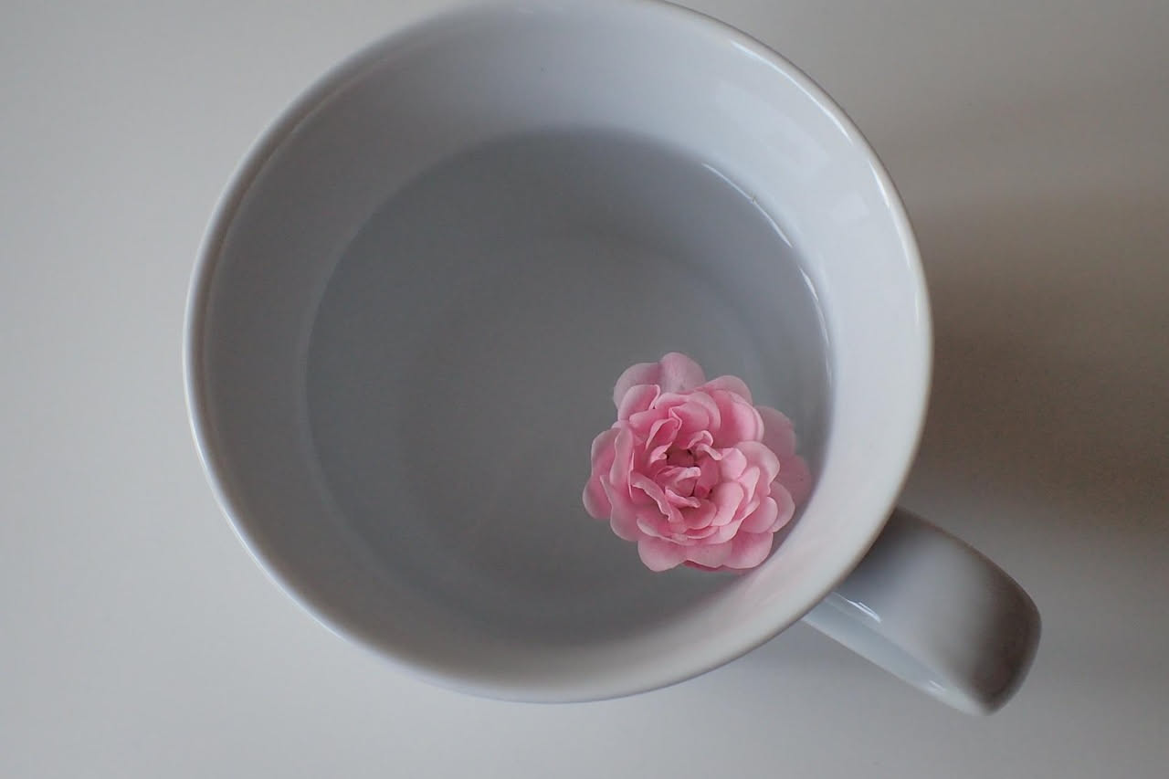 Acqua di rose
