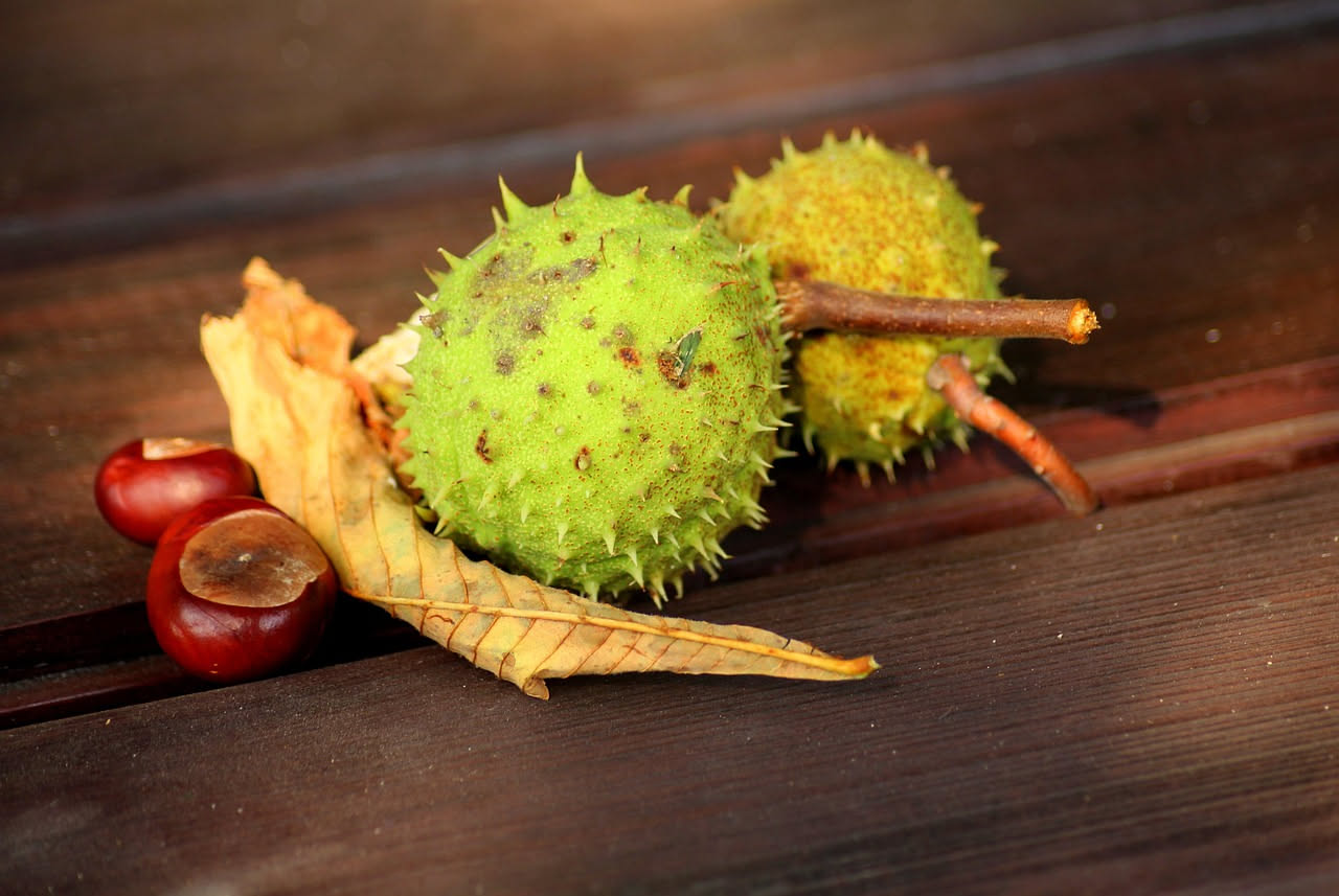 Acquavite di castagne