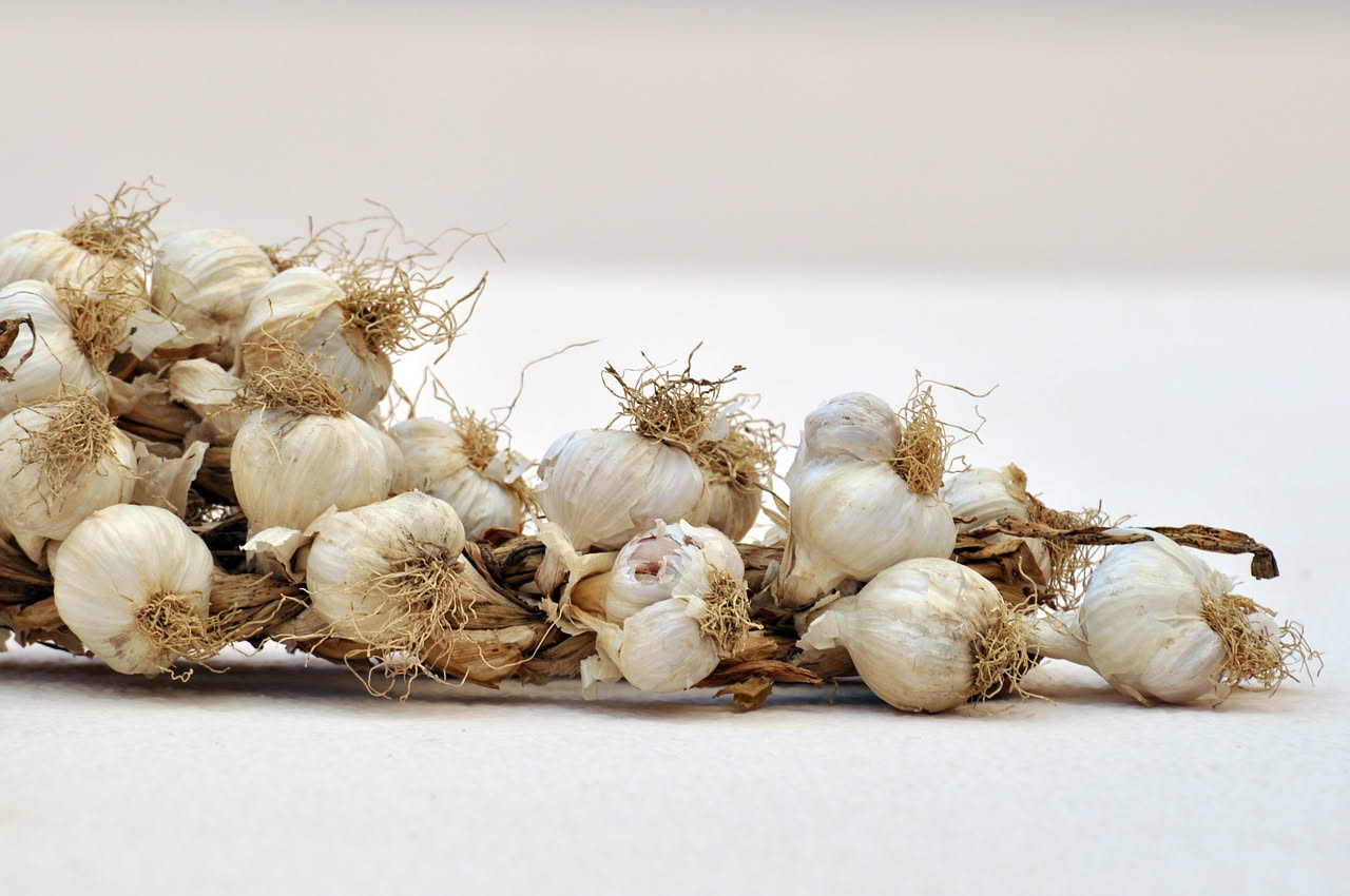 Aglio dolce di Voghiera