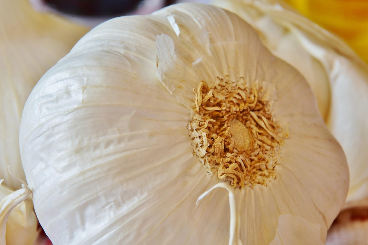 Aglio soffritto