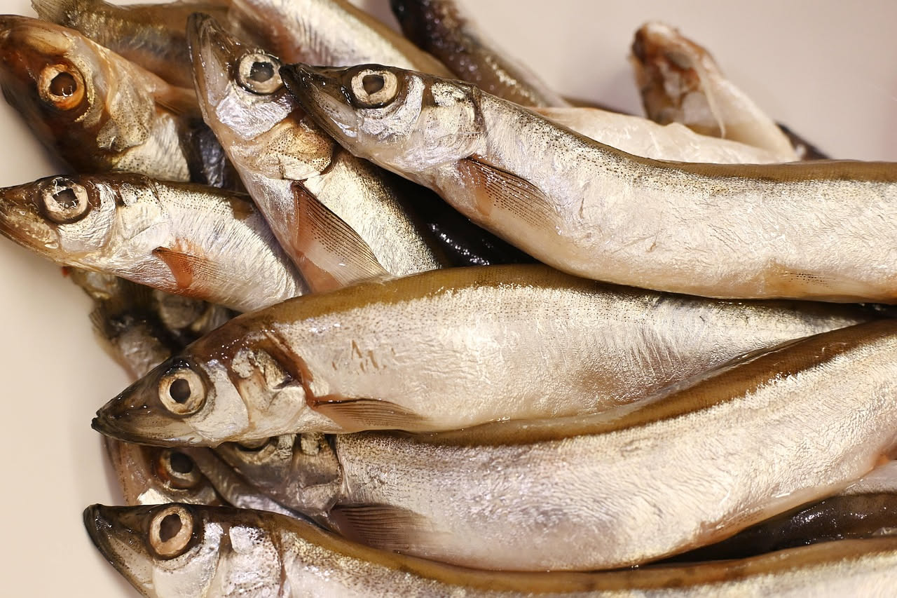 Agone affumicato: un pesce delicato e ricco di omega 3 che nutre il cuore