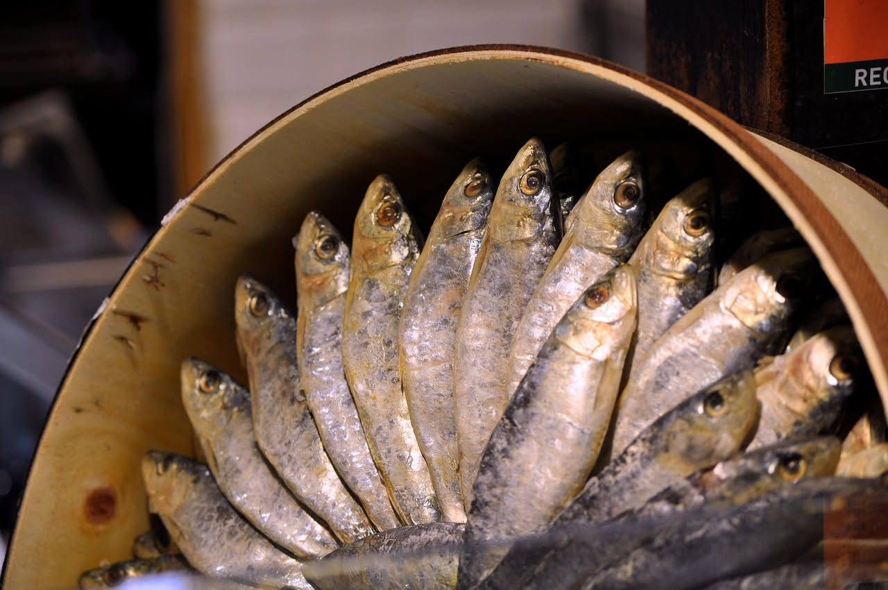 Alaccia marinata: pesce delicato e nutriente che rinfresca il palato con leggerezza