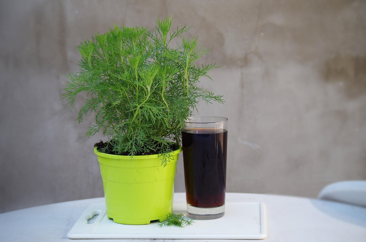 Amaro alle erbe calabresi