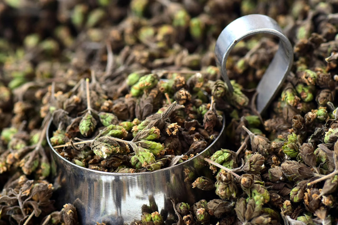 Amaro di erbe campane