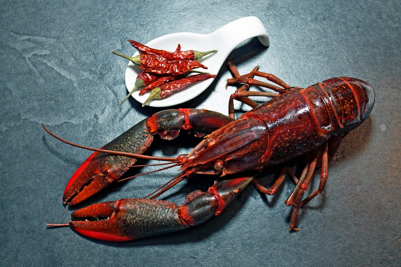 Aragosta alla calabrese