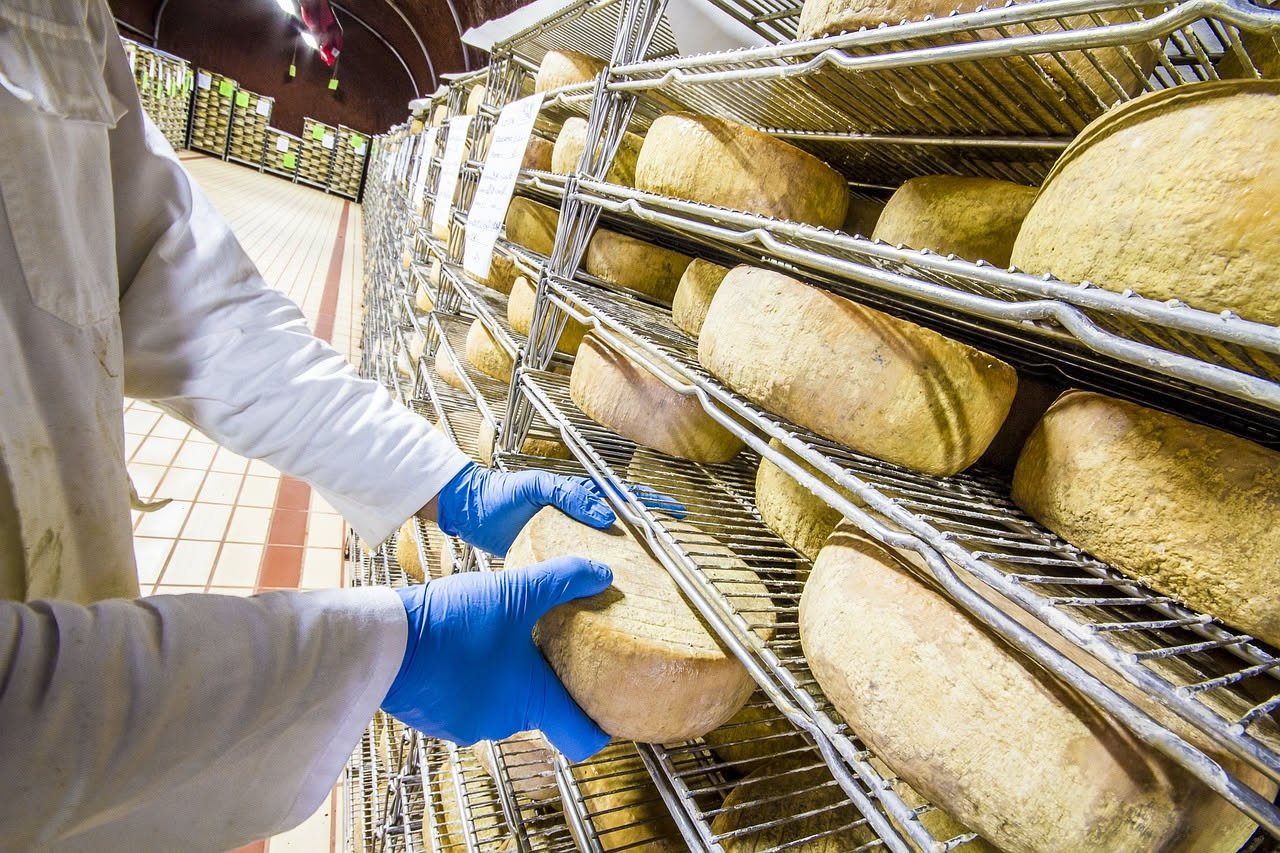 Fette di asiago stagionato di colore giallo paglierino servite su tagliere di legno, accanto a noci, miele in ciotola di ceramica e spicchi di mela verde, con coltello per formaggio di lato