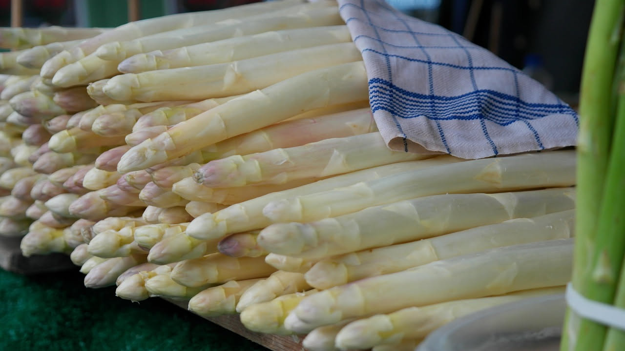 Asparagi bianchi di Bassano