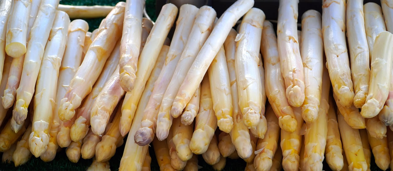 Asparagi bianchi di Zambana bolliti
