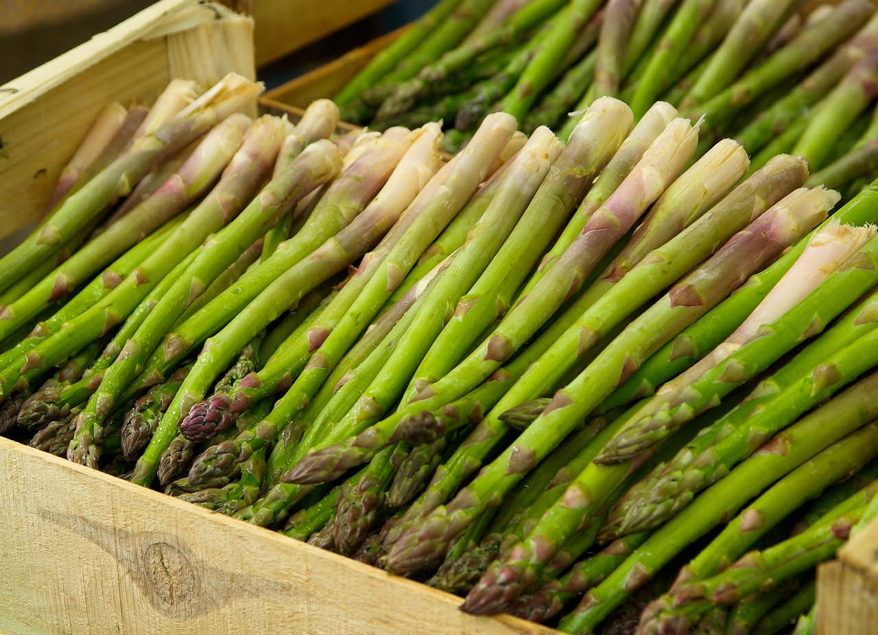 Asparagi di Bassano al burro