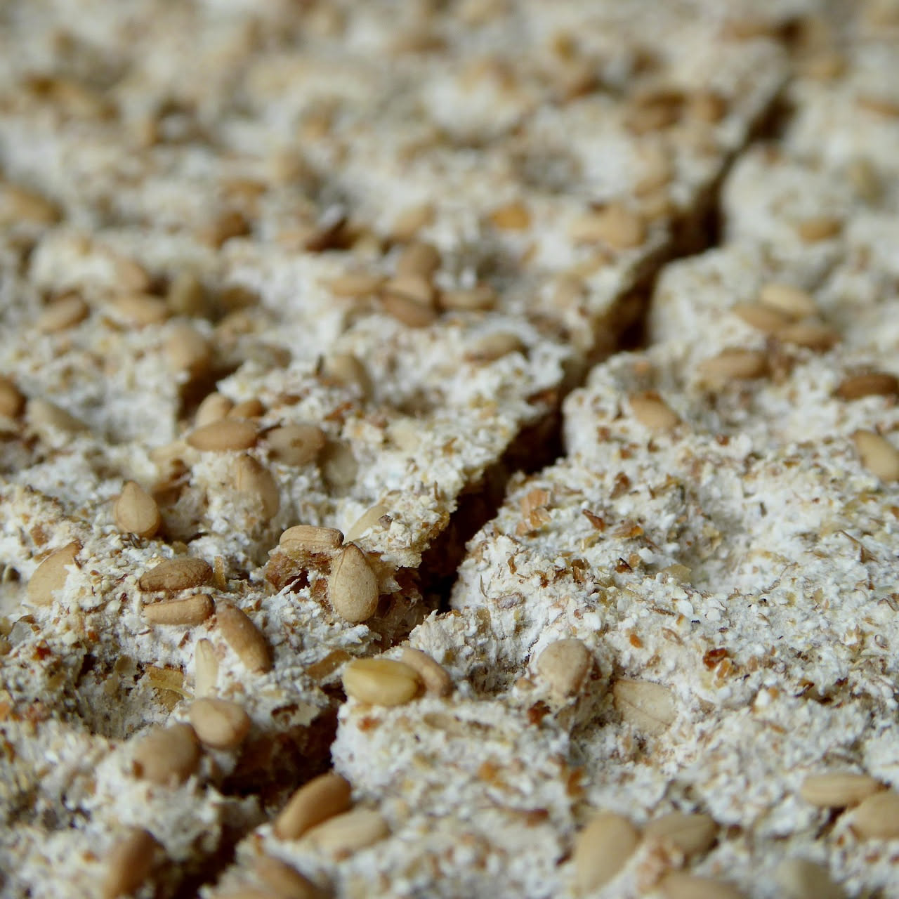 Biscottini Salati del Monferrato: croccantezza integrale che nutre senza appesantire