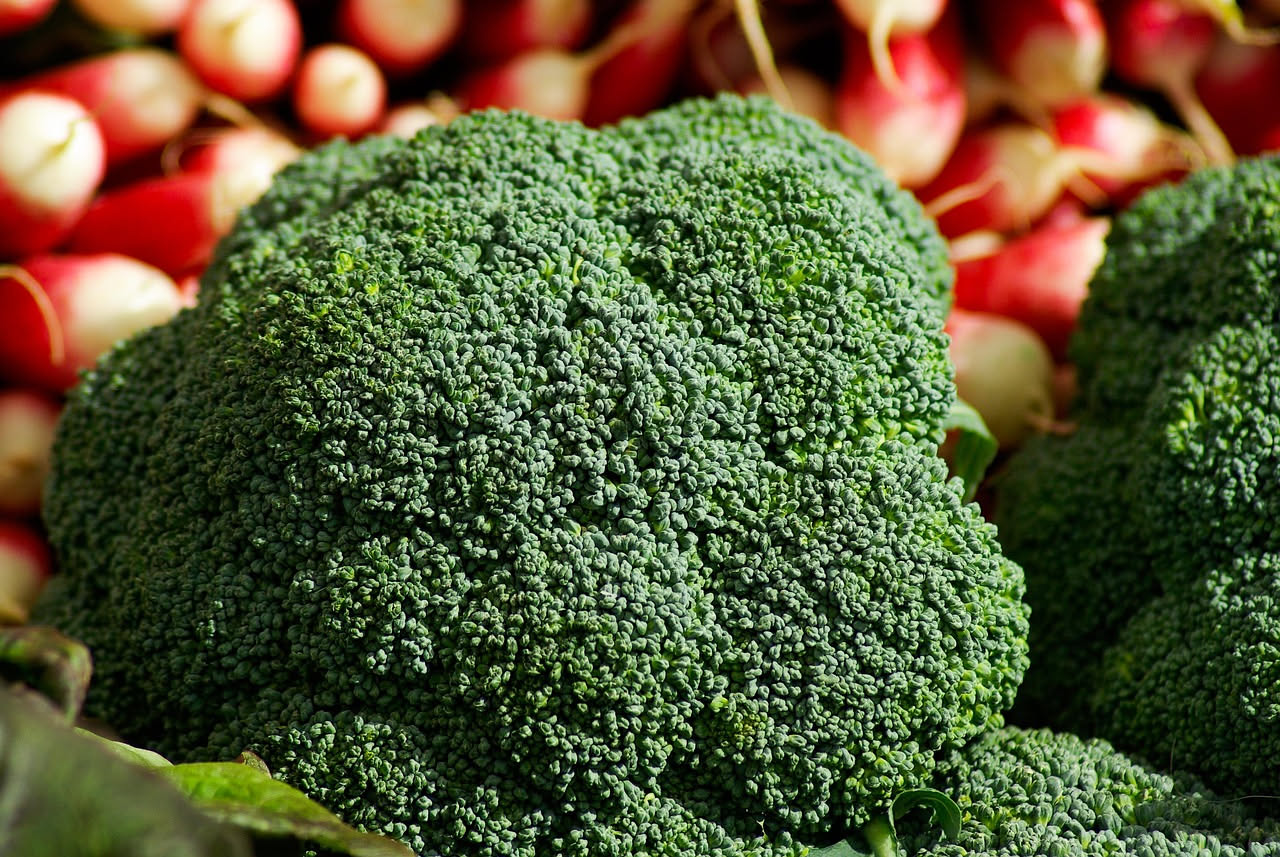 Broccolo lesso