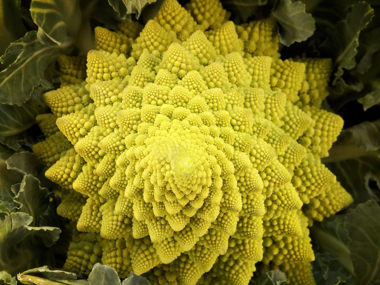 Broccolo ripassato