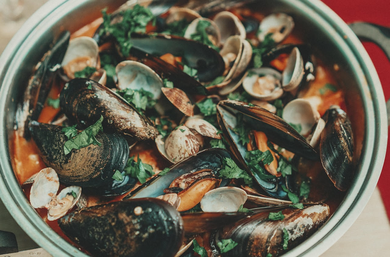 Una ciotola di cacciucco fumante con pezzi di pesce bianco e rosso, molluschi e pomodoro rosso vivo, con fette di pane tostato ai bordi su sfondo grigio