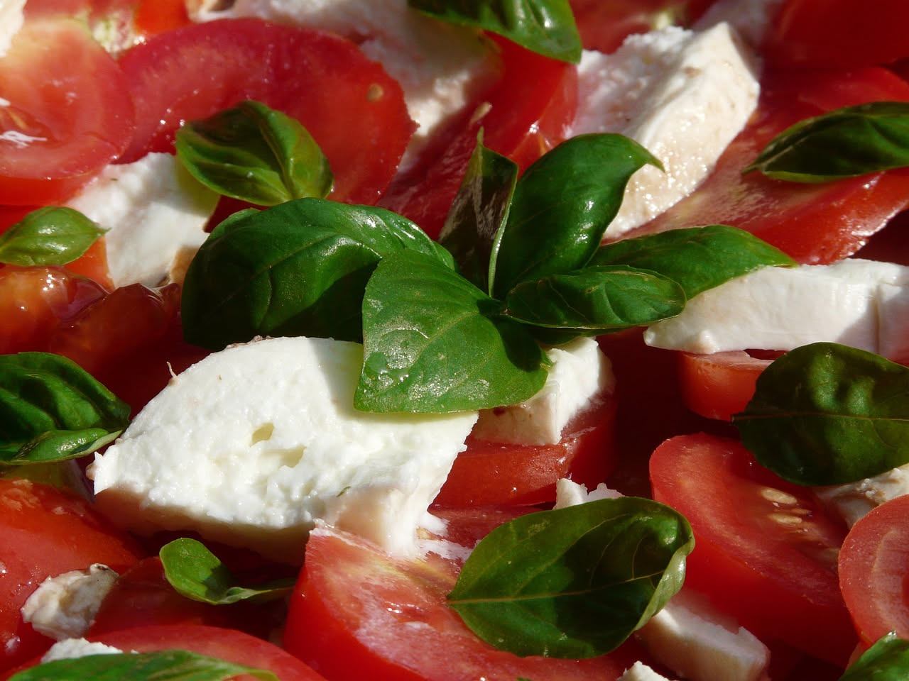 Piatto bianco con fette di pomodoro rosso intenso alternate a porzioni di burrata bianca e cremosa, una foglia di basilico verde scuro in cima, rivoli di olio d'oliva verde scuro, fondo bianco del pia
