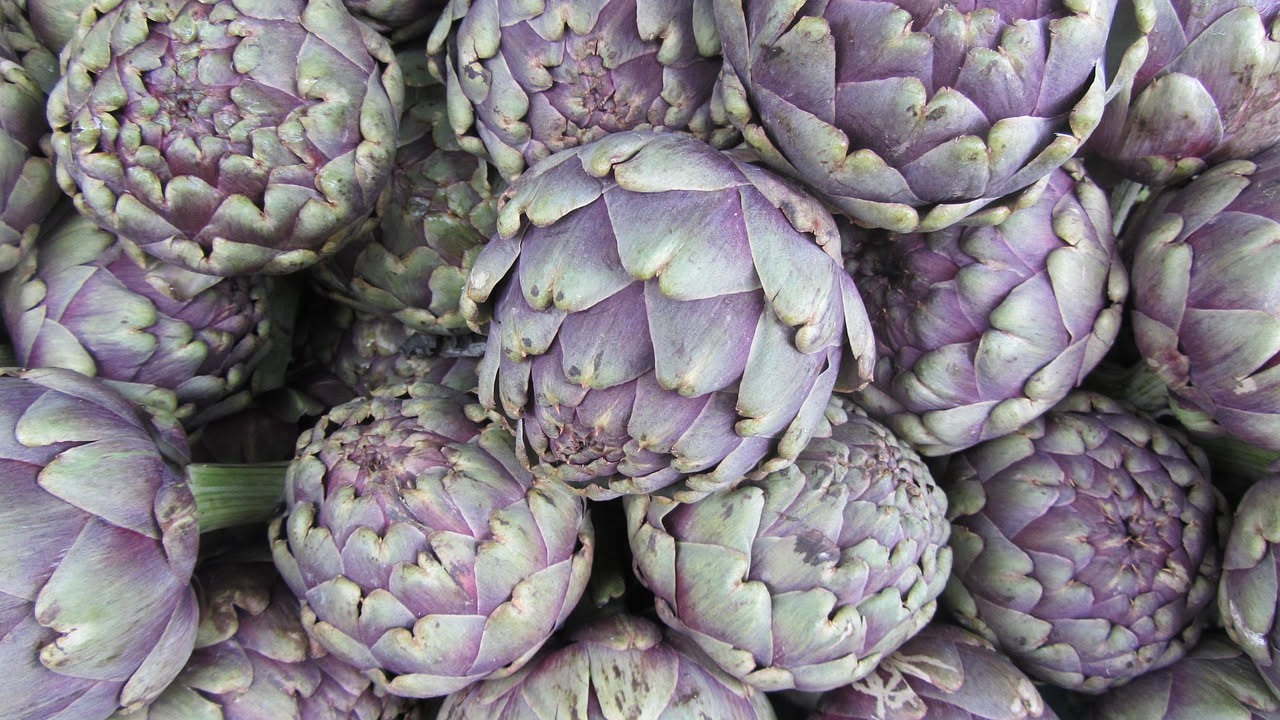 Carciofi alla vibonese