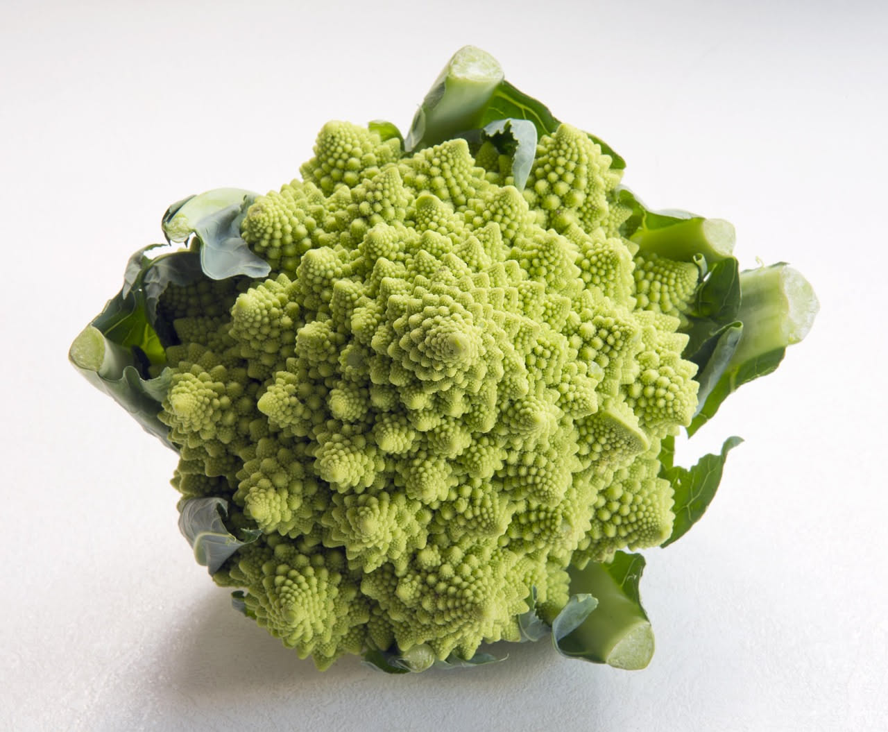Casarecce ai broccoli romaneschi