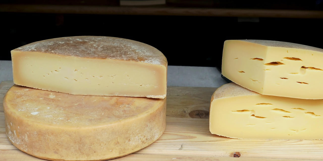 Tavolozza di formaggi con fette di Casera dal colore paglierino, Taleggio cremoso color avorio e sfumature rosate sulla crosta, accompagnati da noci e pane tostato su un piatto bianco