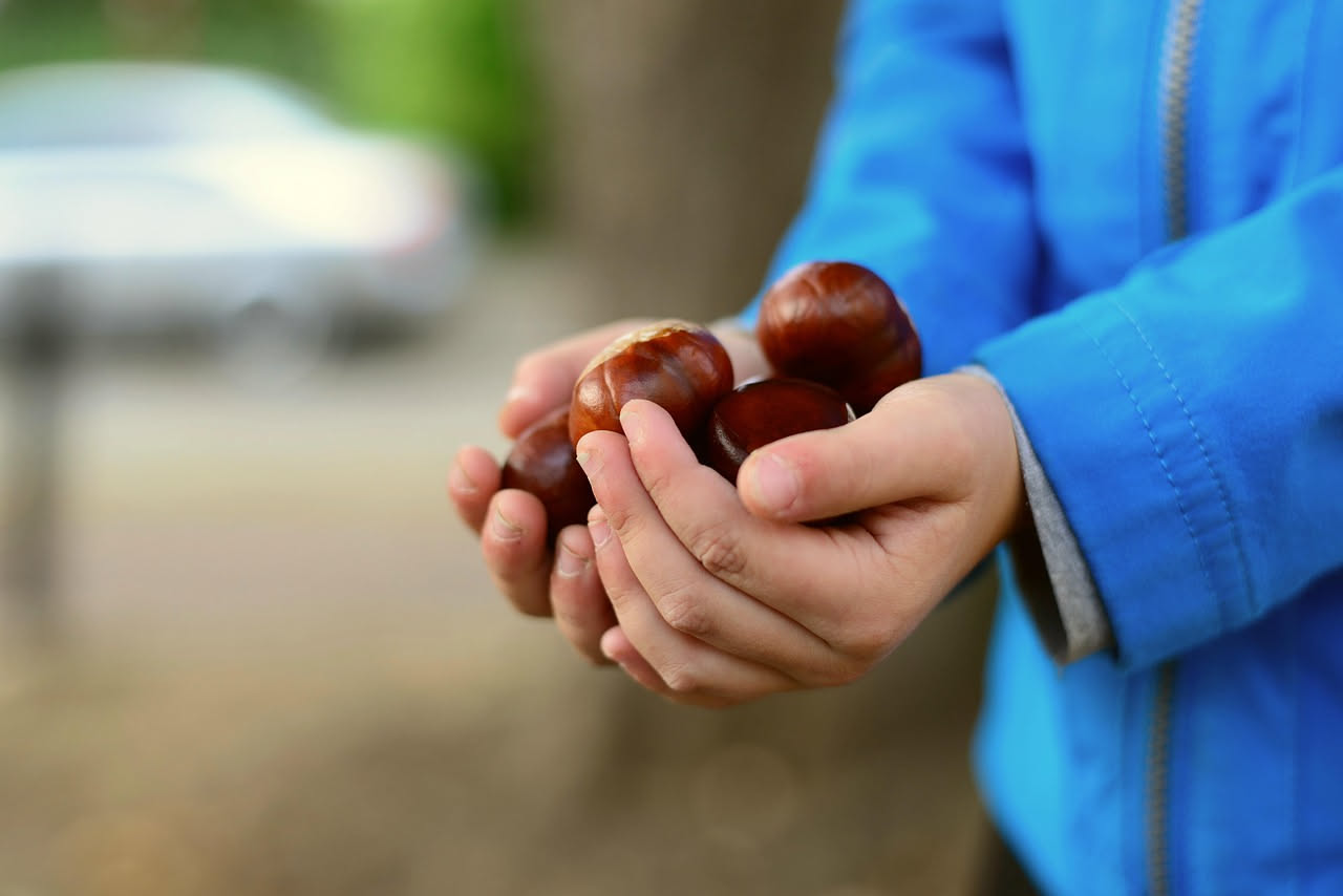 Castagne bollite intere e sbucciate in una ciotola bianca, con pelle marrone scuro ancora aderente a qualcuna, vapore ancora visibile