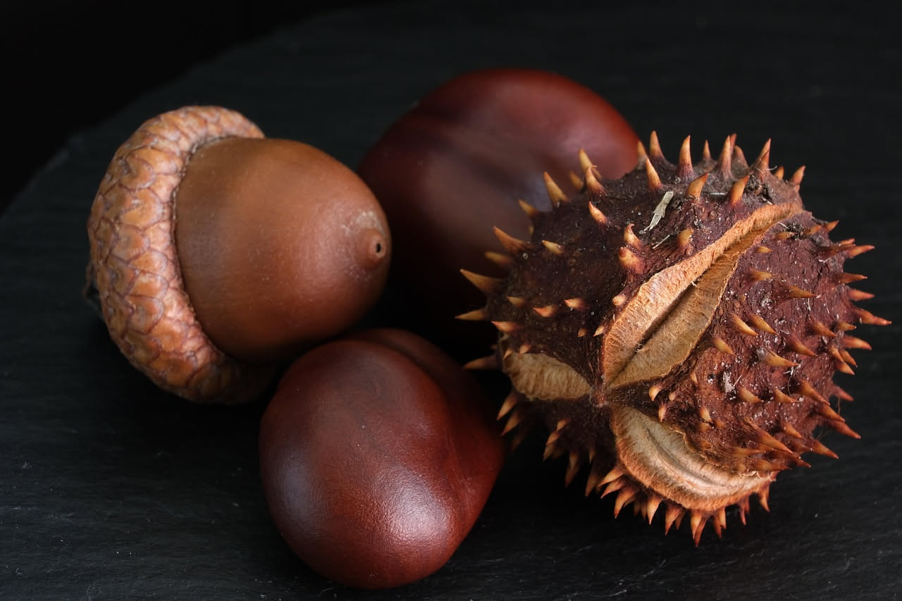 Castagne e cavolo