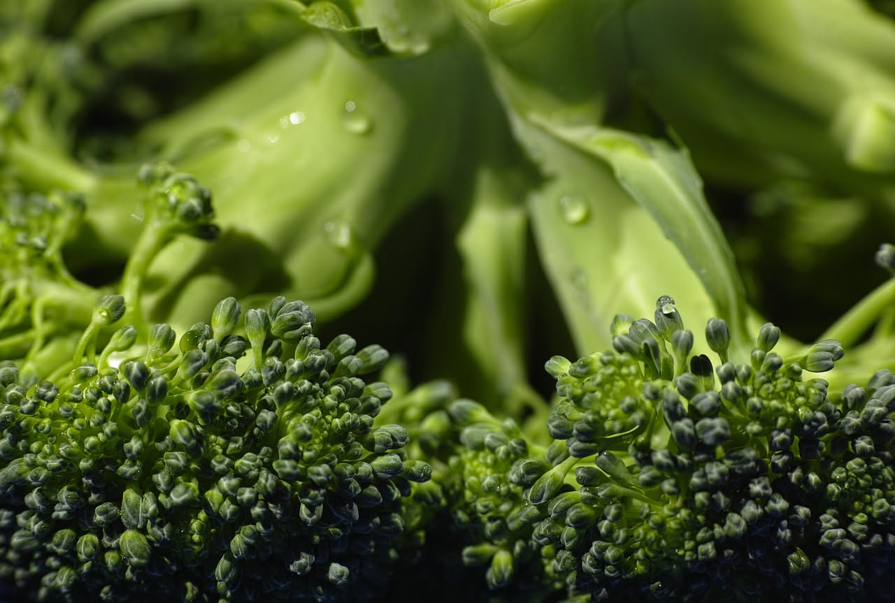 Piatto di cavatelli con broccolo: pasta ondulata di colore giallo-beige ricoperta di broccoli verde scuro parzialmente sfatti, con fili di olio brillante in superficie, servito su piatto bianco con bo