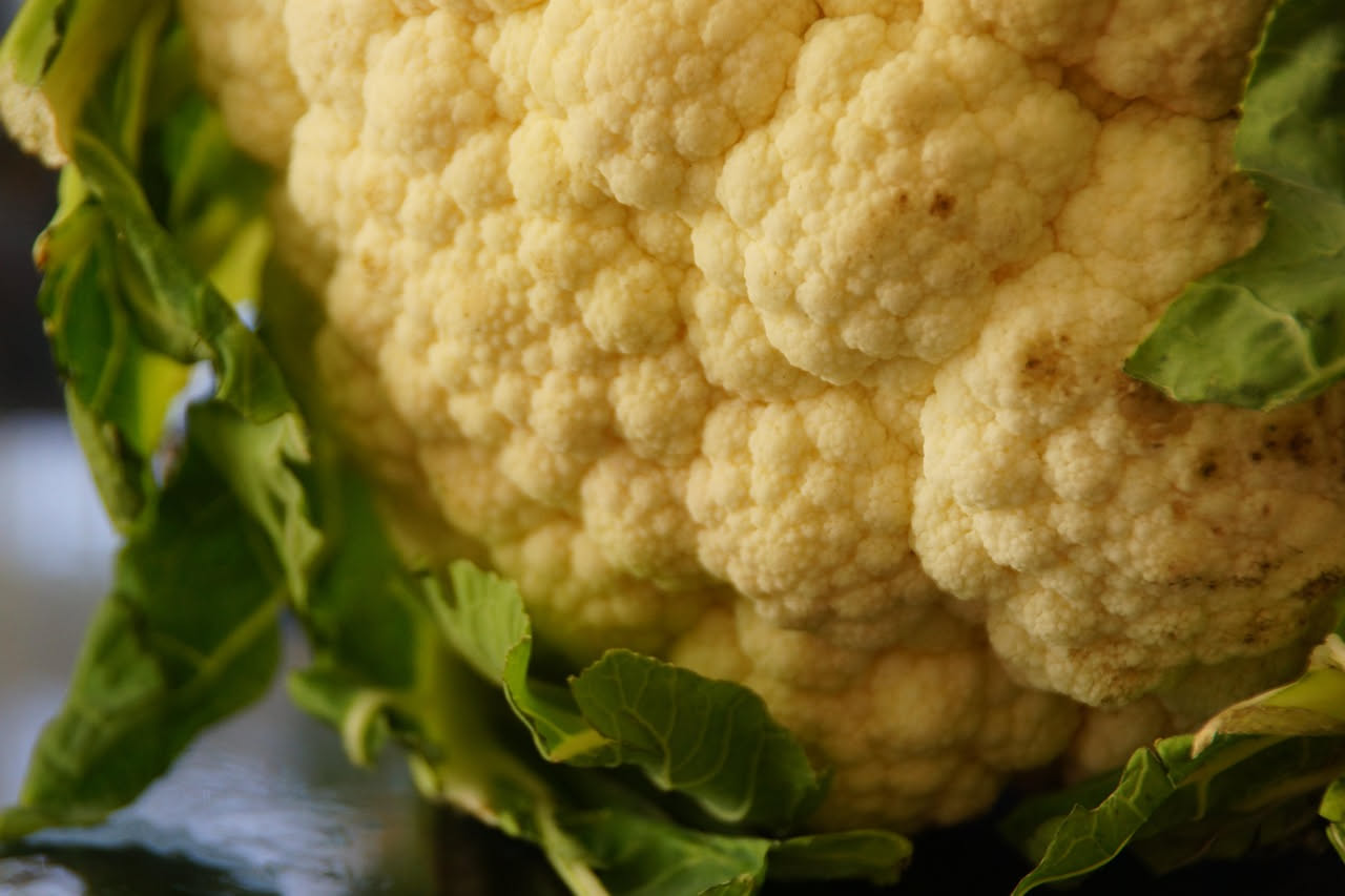 Cavolfiore ripassato dorato in padella, coppe di cavolfiore croccanti ai bordi, olio che lucida le rosette, aglio e peperoncino rosso sparsi in superficie