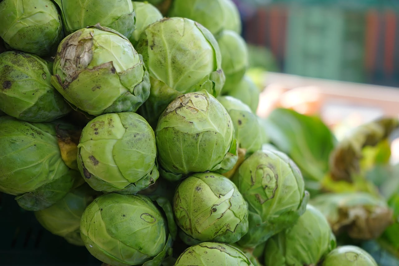 Cavolini di Bruxelles sott'olio