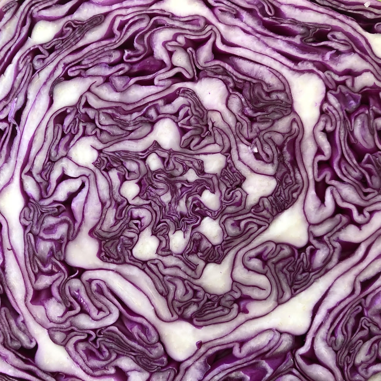 Cavolo rosso ripassato