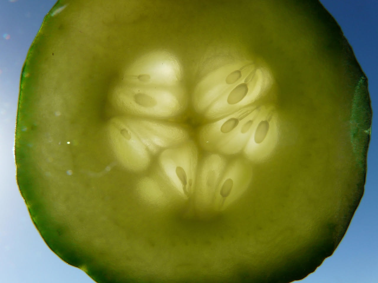 Cetrioli in salamoia