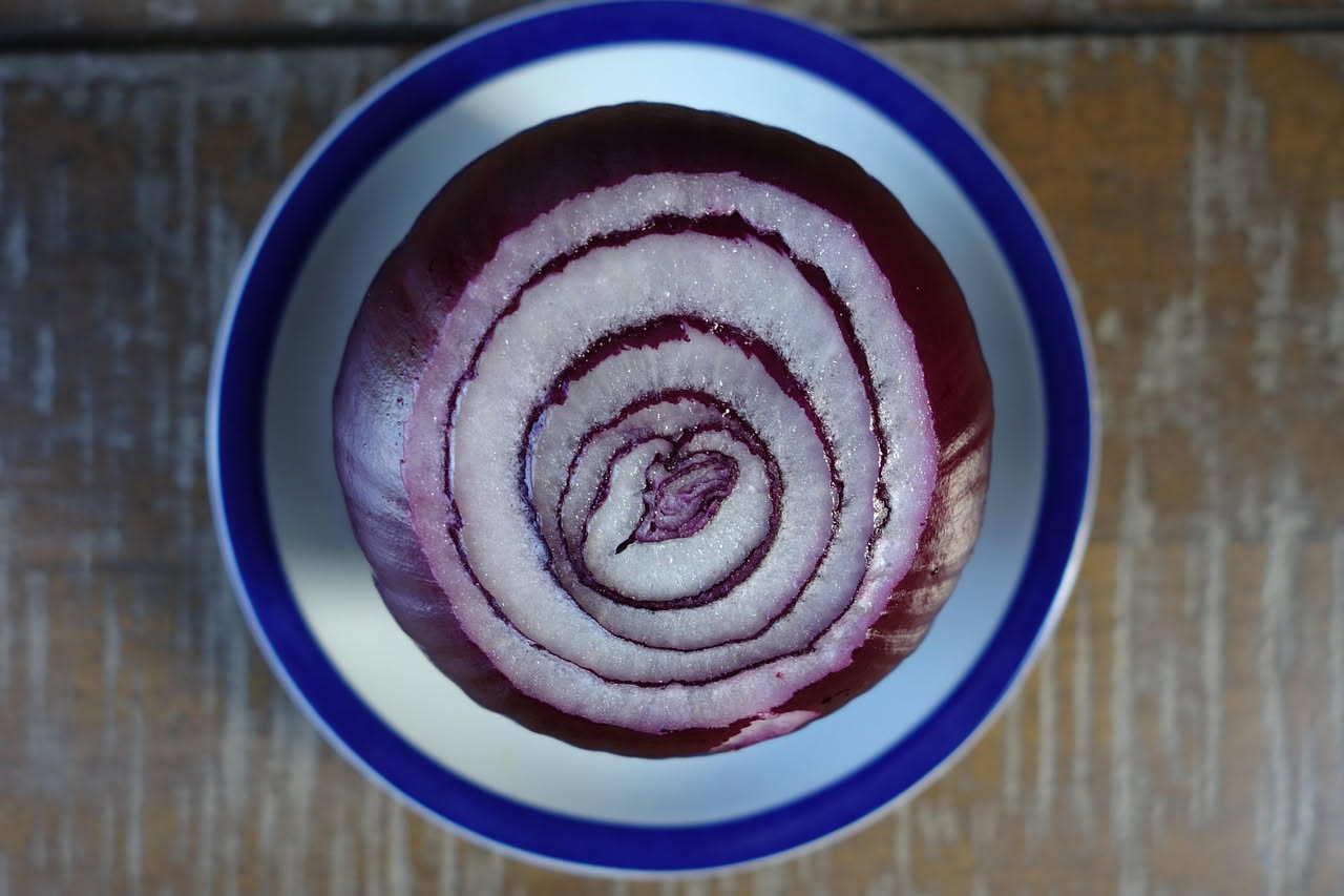 Quattro metà di cipolla riempite di trito di carne e pane grattugiato, disposte in una teglia da forno con brodo, cipolla gialla dorata caramellata