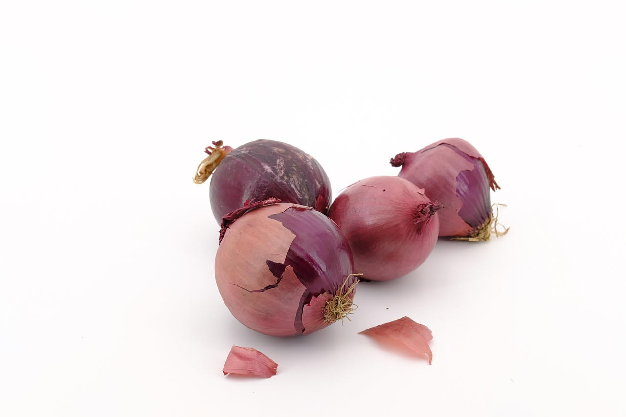 Cipolle in umido