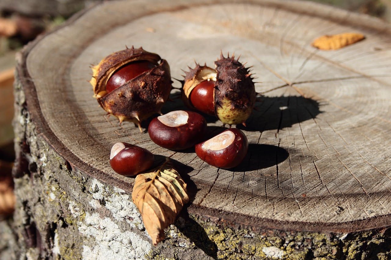 Composta di castagne