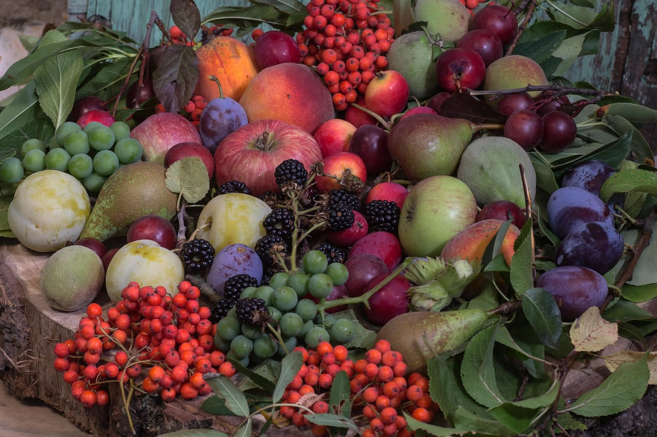 Composta di frutta mista