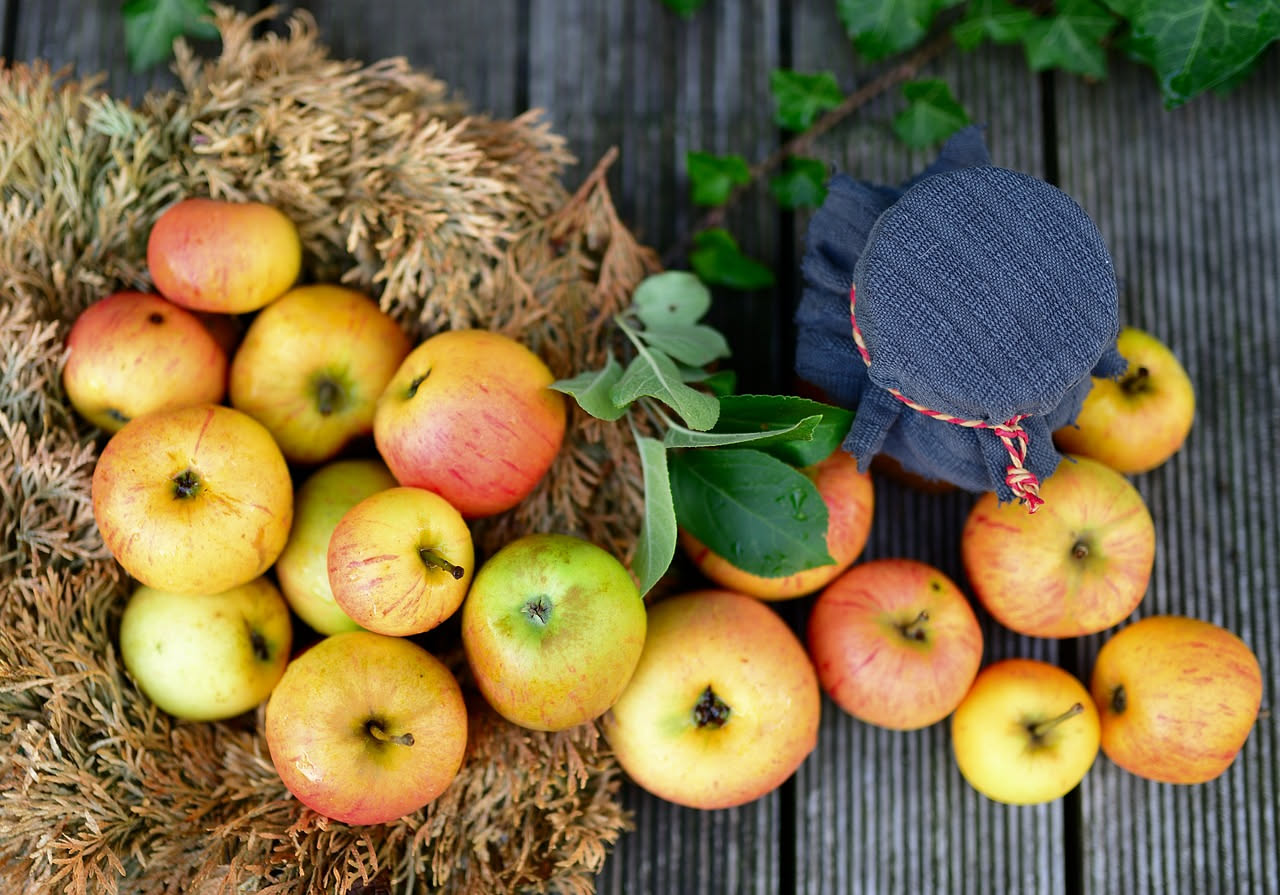 Composte di frutta