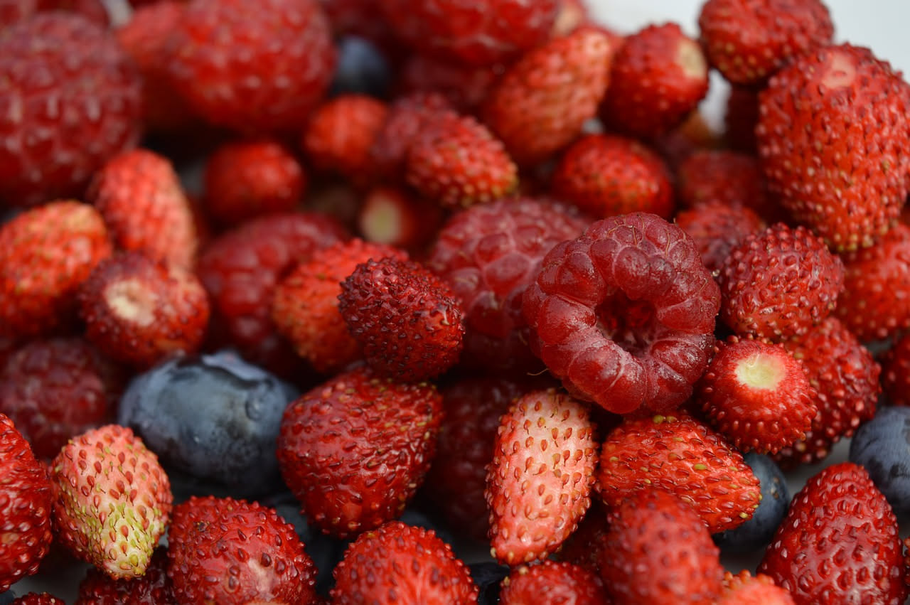 Conserva di fragole di bosco