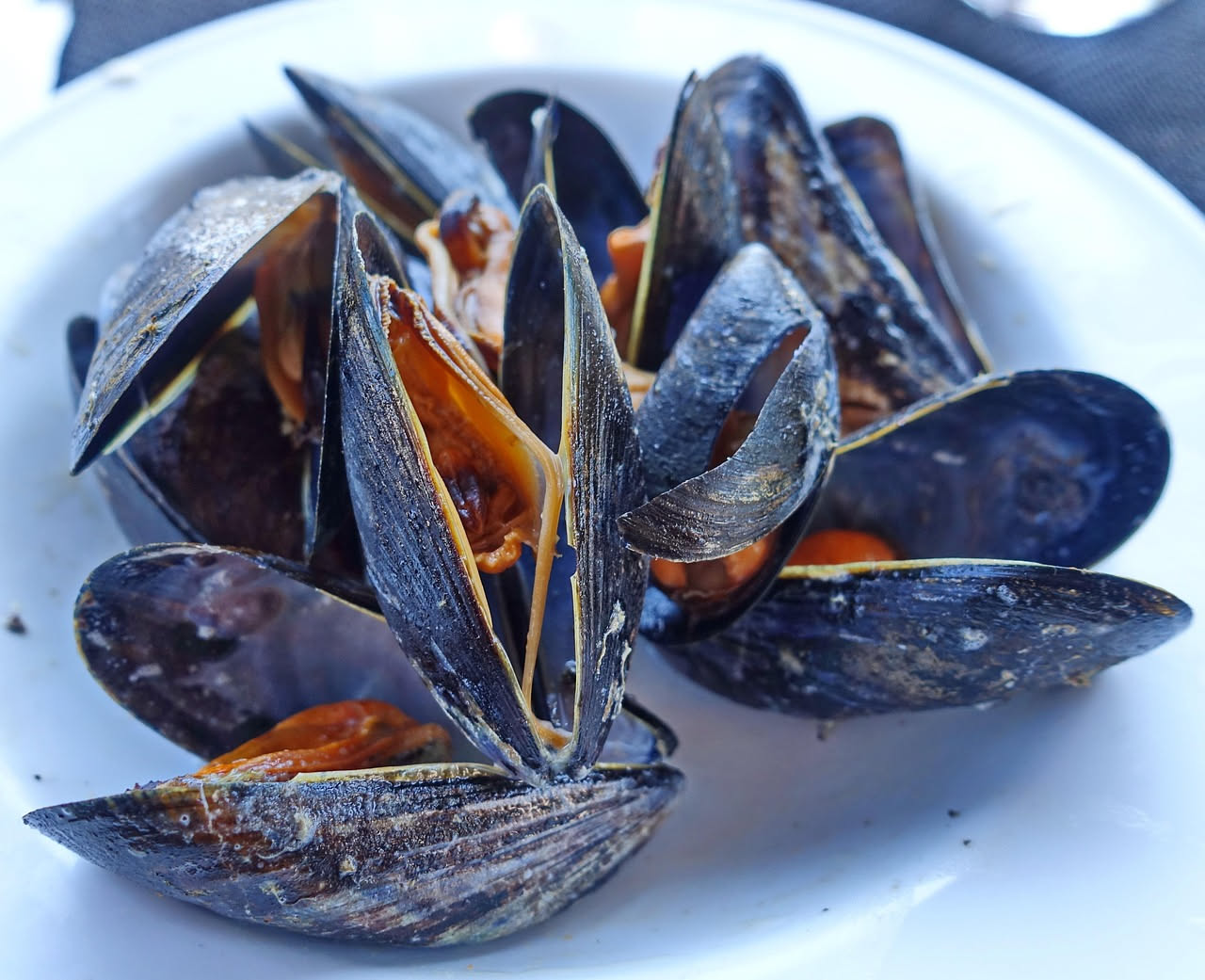 Cozze nere aperte fumanti in un tegame di ceramica bianca con salsa di pomodoro rosso brillante, prezzemolo verde in superficie, pane tostato accanto