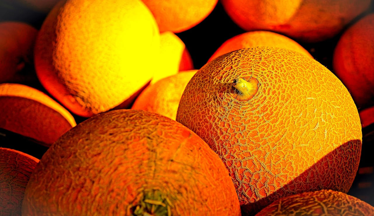 Crema di melone