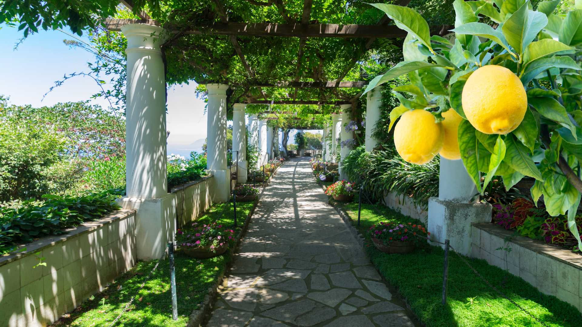 Dressing al limone di Amalfi