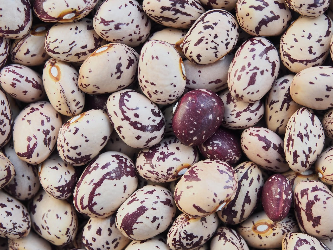 Fagioli all'aquilana