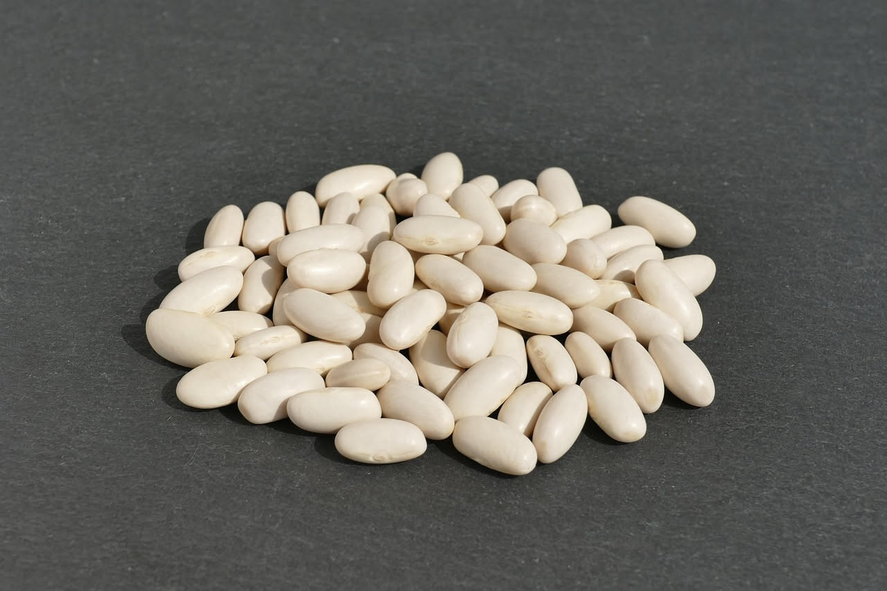 Fagioli bianchi di Sorana
