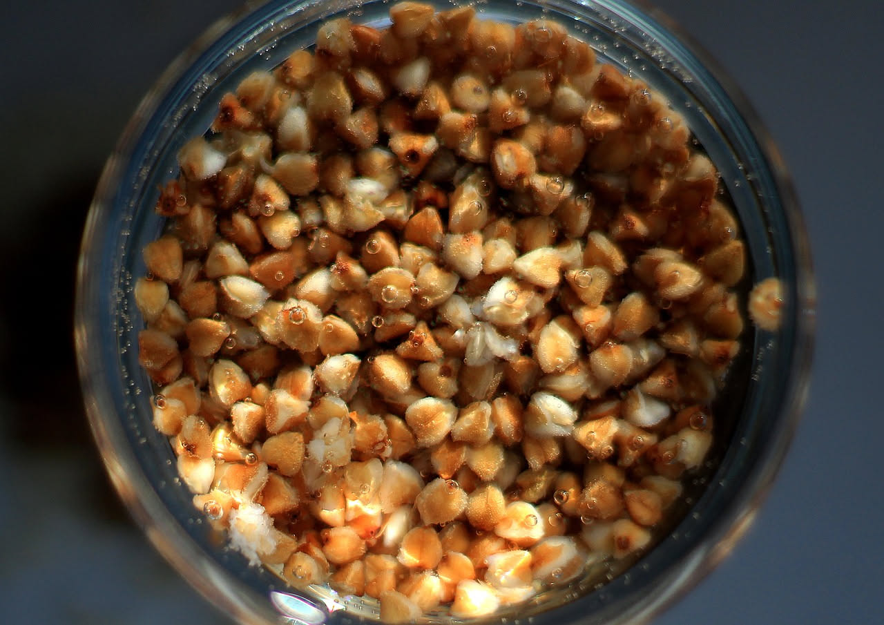 Una ciotola di ceramica bianca con farro in brodo, grani di farro visibili e turgidi nel liquido dorato, con filo d'olio in superficie, accompagnato da pane tostato ai lati del piatto